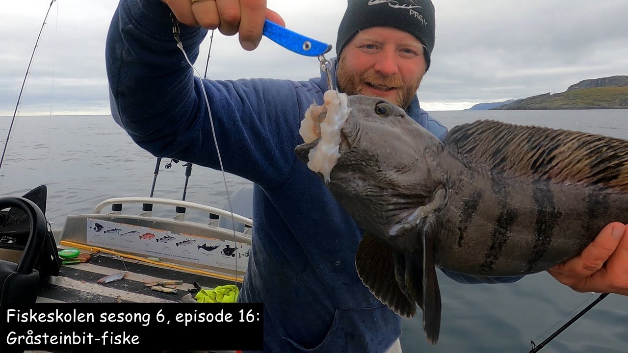 Fiskeskolen sesong 6, episode 16: Gråsteinbit-fiske