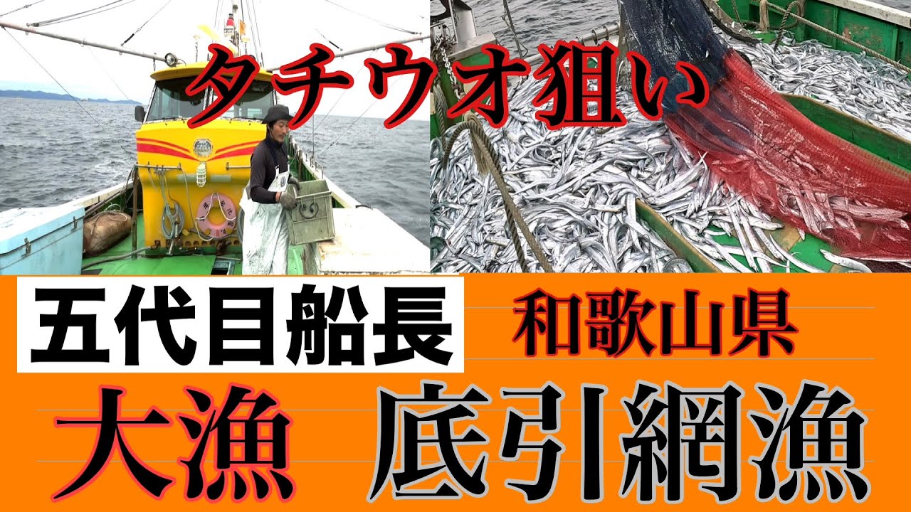大漁タチウオ【五代目】150年続く和歌山のタチウオ底引き漁師