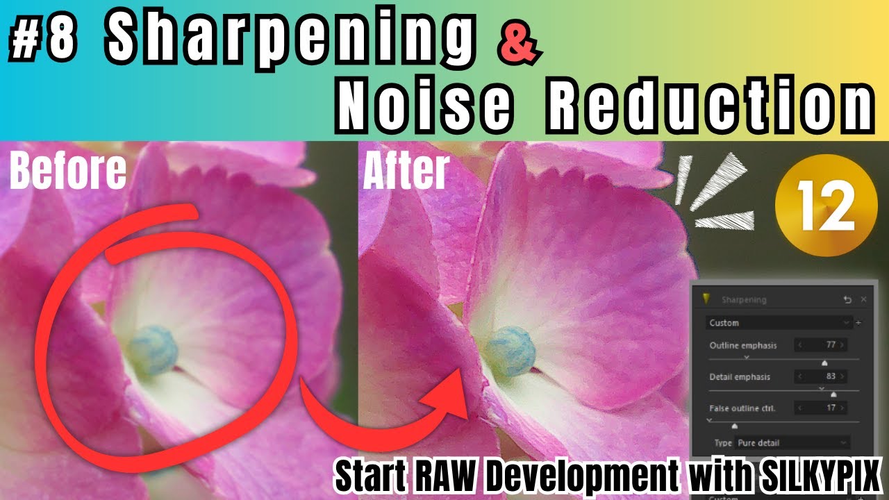 #8 Sharpening & Noise Reduction