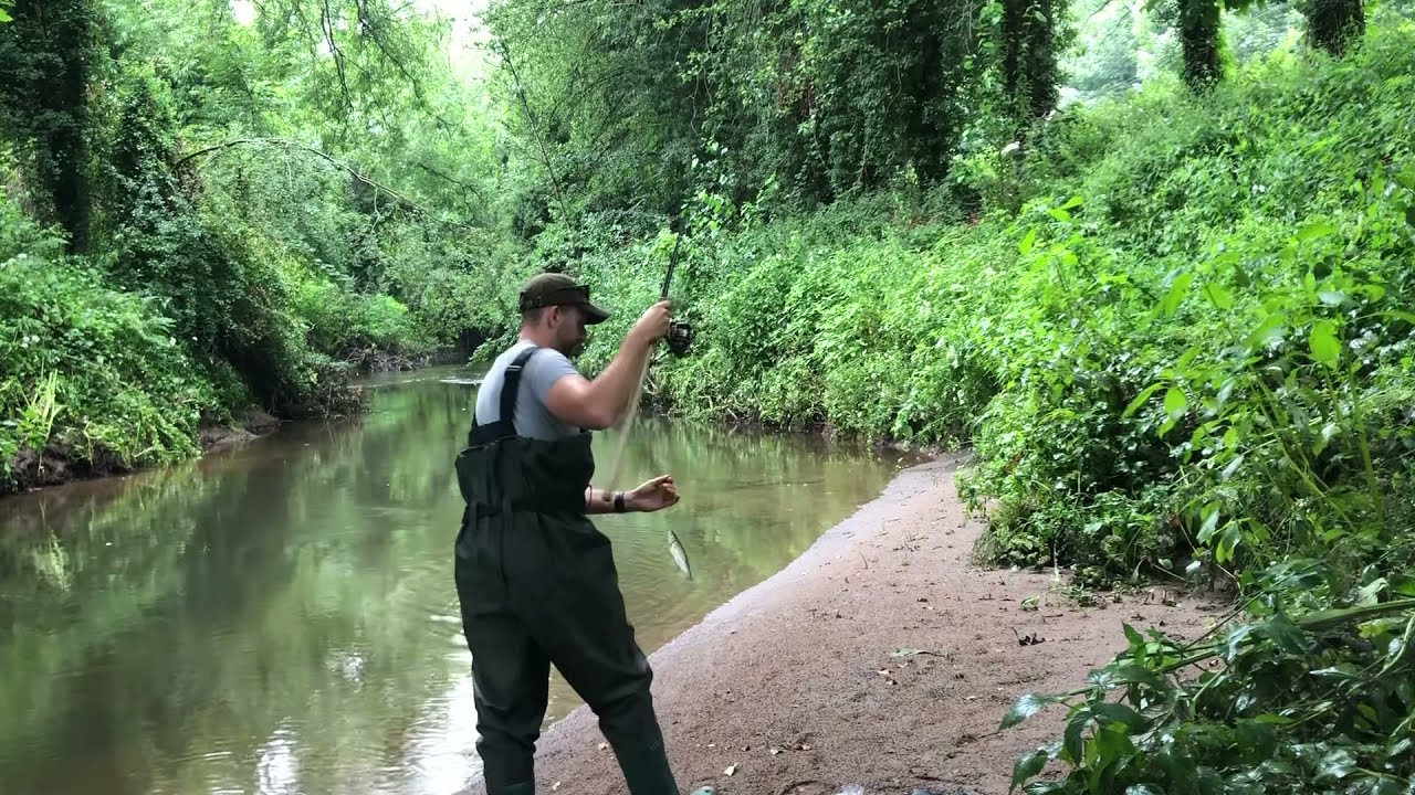 2021 River Stour (Worcestershire) stick float session, bagging up!