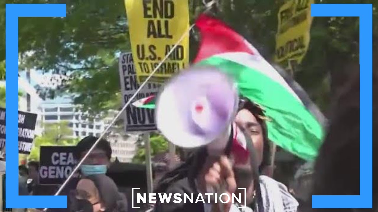New York law firm doesn't want pro-Palestine protesters to apply | NewsNation Now