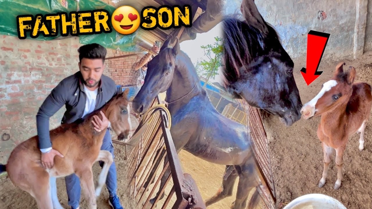 RAJHANSH ko Uske Bete Se Milwa Diya😍