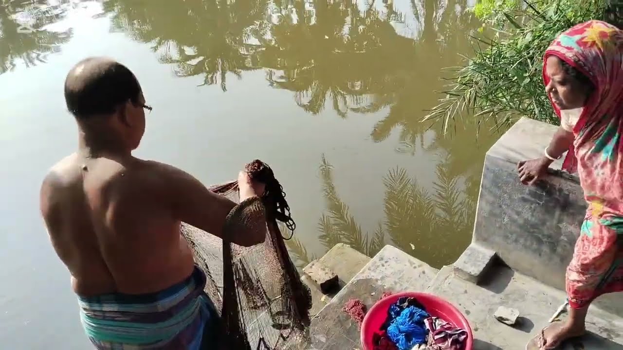 Most popular cast net fishing in village pond- Net fishing with beautiful weather 🐟