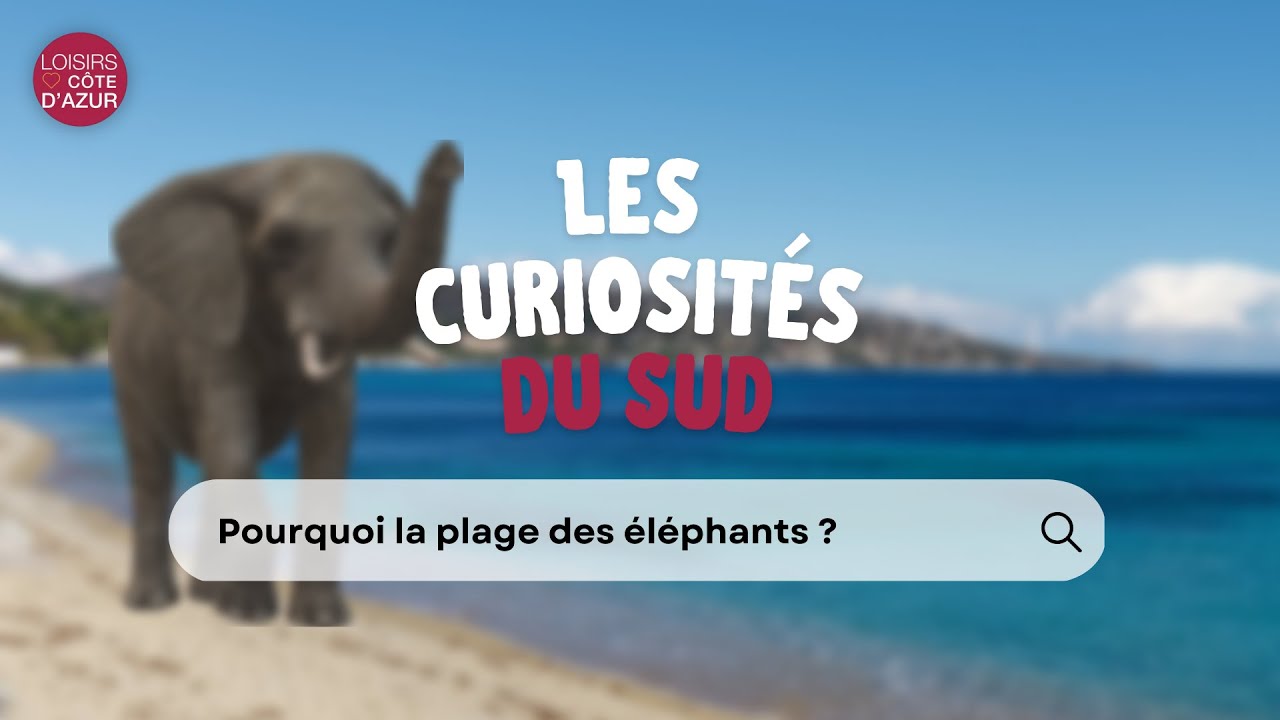EP6 Les curiosités du Sud - La plage des éléphants