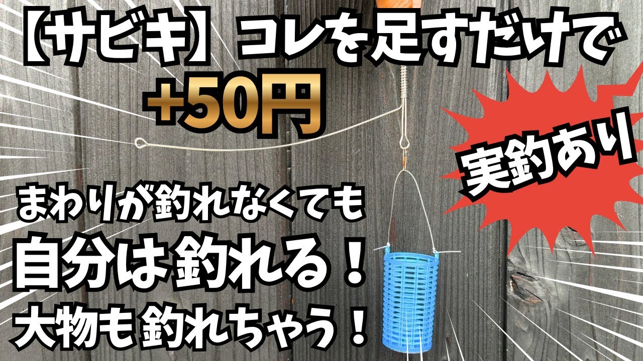 【サビキ】釣れる激安天秤追加でライトカゴ釣り【尺アジ狙い】