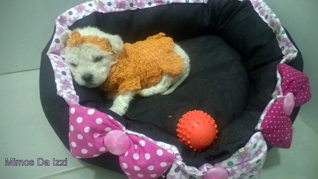 Banho em casa em filhote de poodle