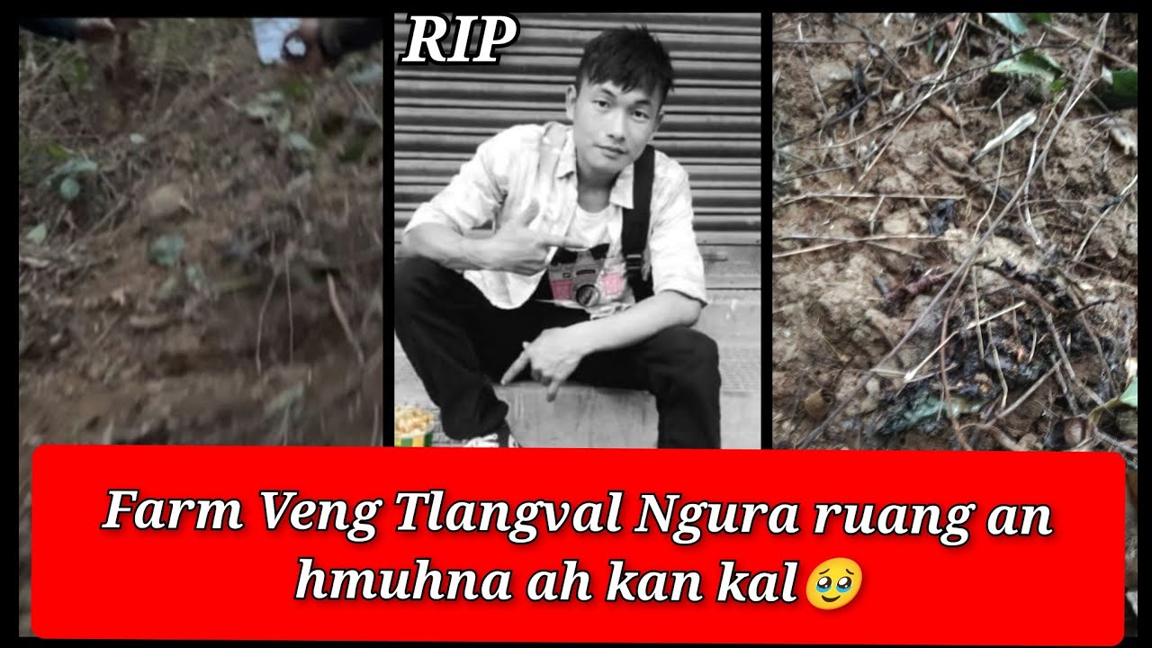 Farm veng tlangval Ngura Ruang an hmuhna ah kan kal 🥹 A ruang hi a lo chhe tawh hle
