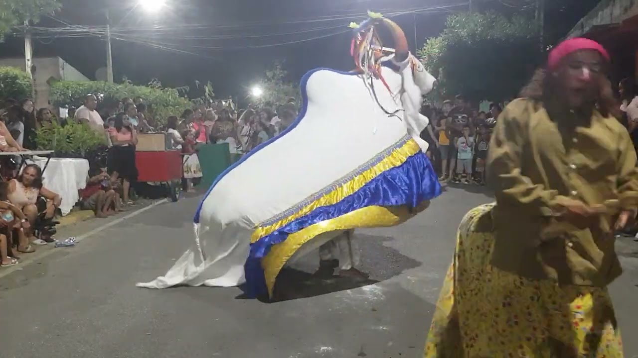 RAÍZ SESC CULTURAL BOI PAZ NO MUNDO parte 3