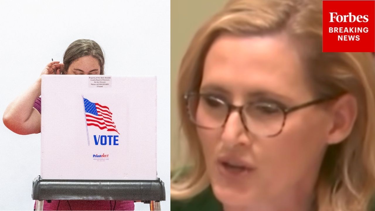 'Common Sense': Laurel Lee Backs Make Elections Great Again Act