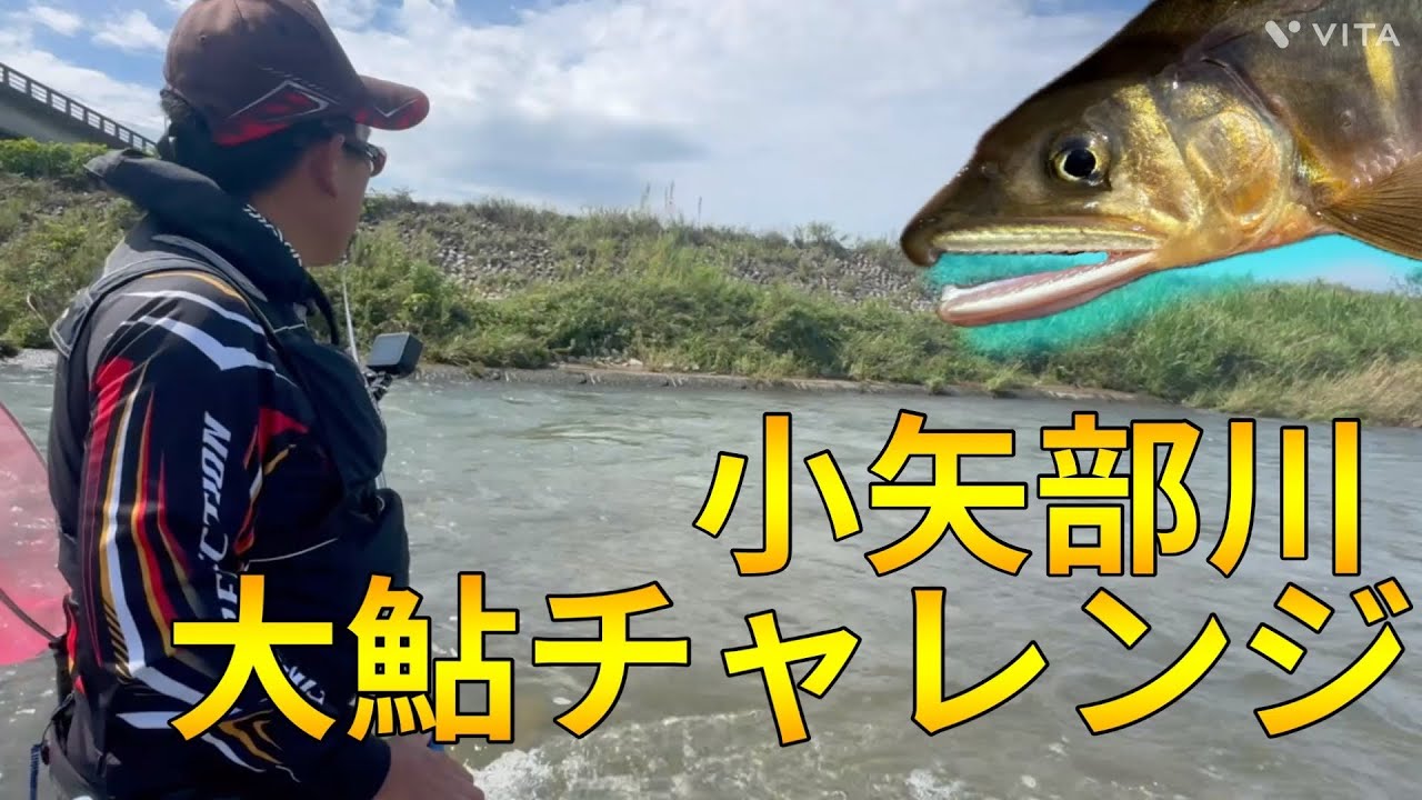 【友釣り】大鮎が潜む小矢部川で鮎ぶっこぬき！【富山】