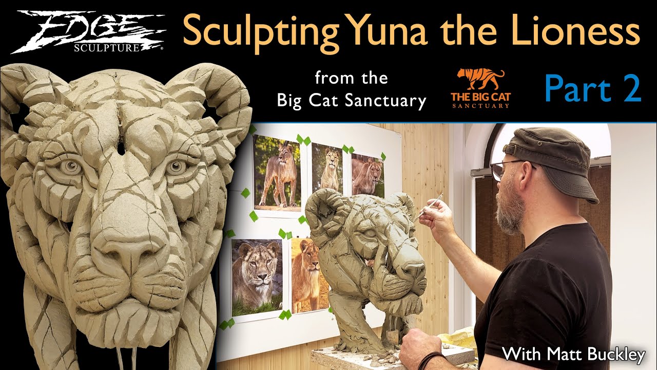 Sculpting a Lioness in Clay by Matt Buckley | Edge Sculpture | The Big Cat Sanctuary | Part 2