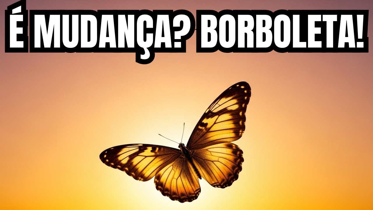 A BORBOLETA NO SONHO É SINAL DE MUDANÇA? | Sonhar com Borboleta Significado