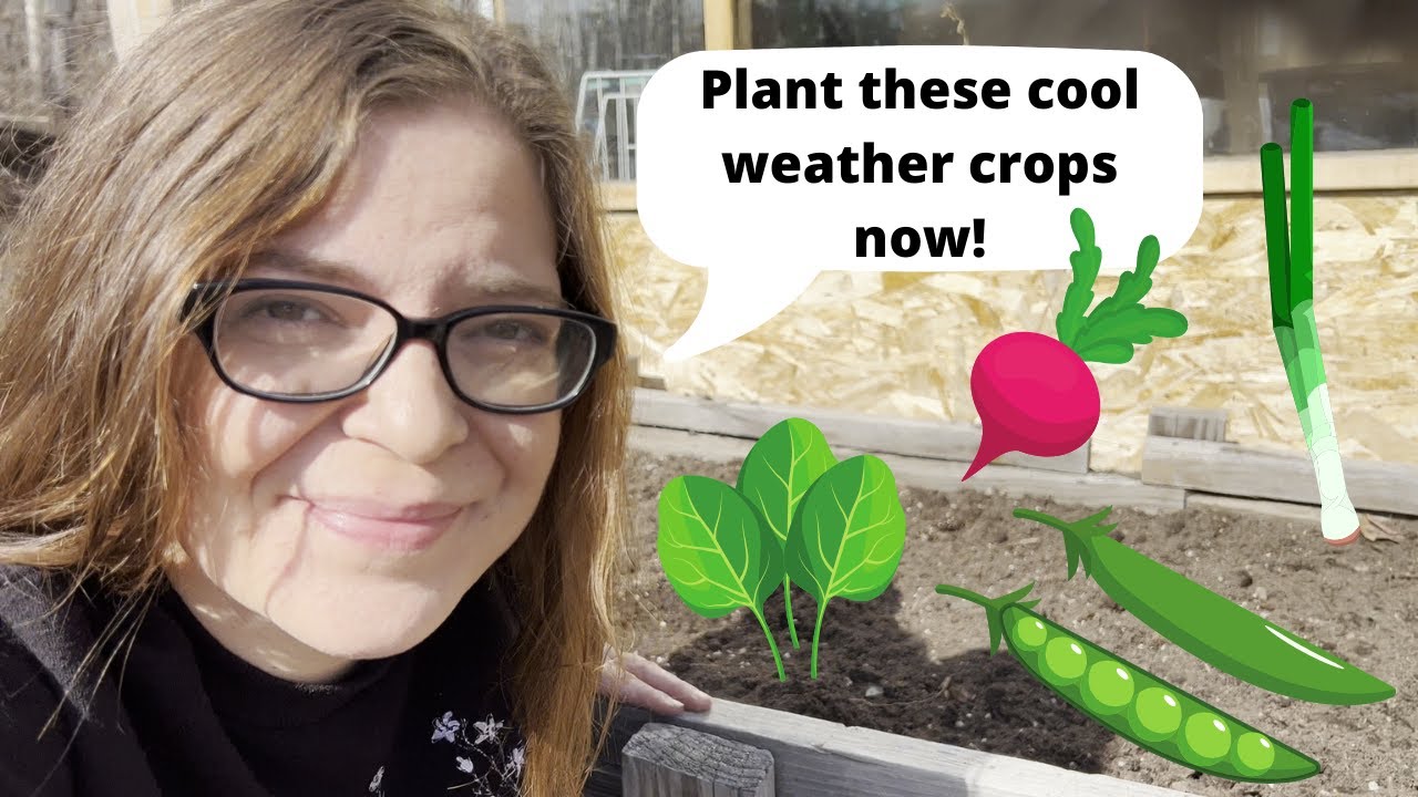 4 Vegetables You Can Plant In Your Spring Garden 6 Weeks Before Your Last Frost Date