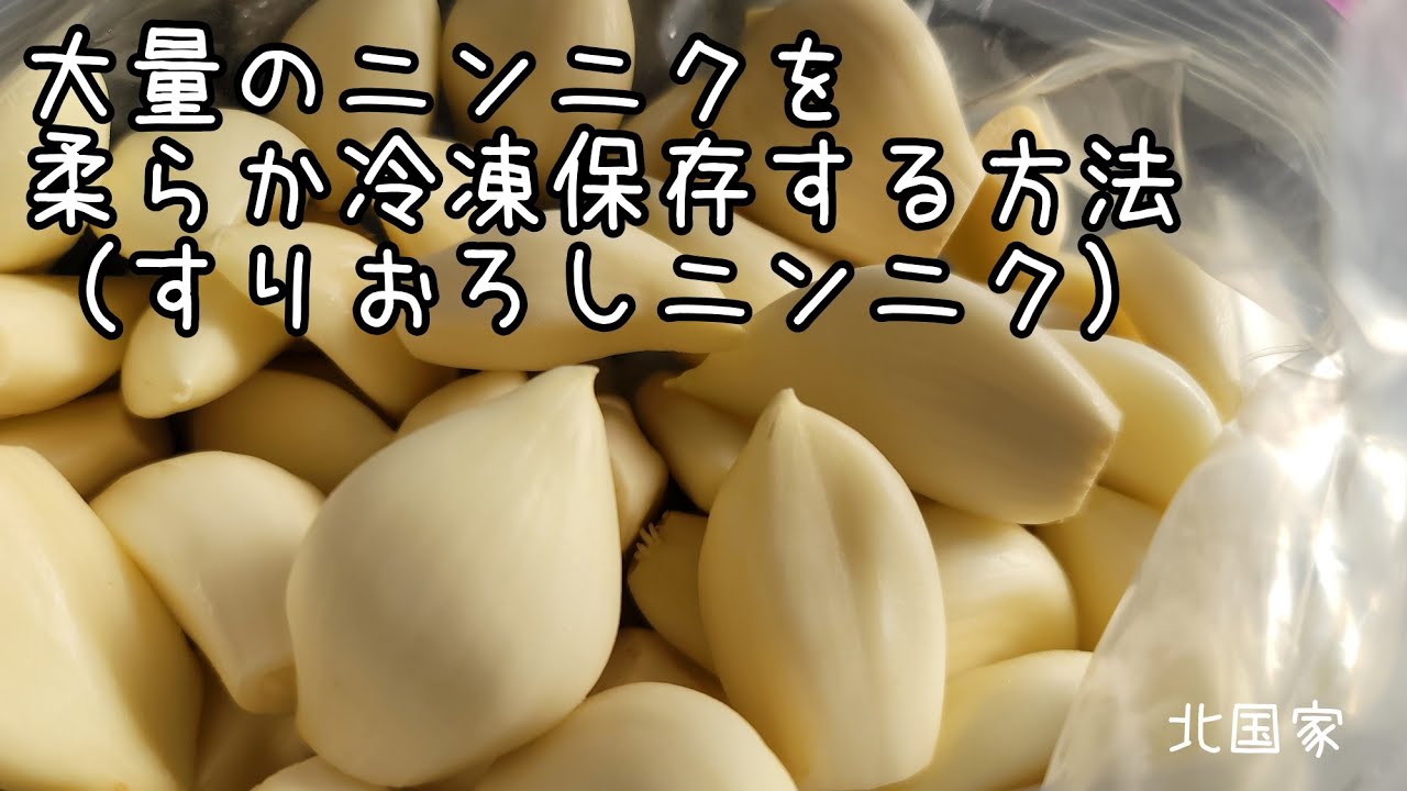 大量のニンニクを固くならずに柔らかい状態で冷凍保存する方法（すりおろしニンニク）