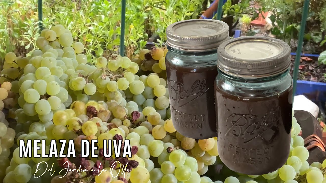 Melaza de Uva.  Del Jardín a la Olla