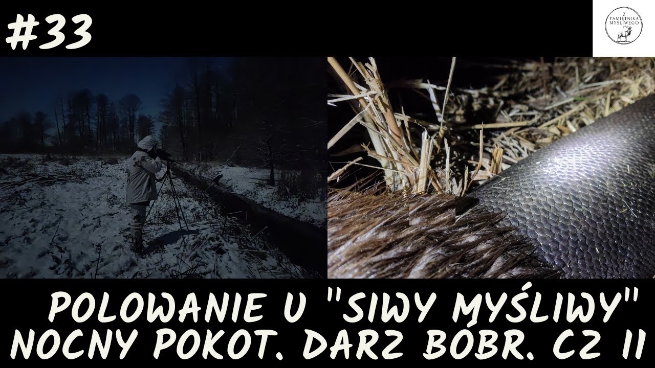 Z Pamiętnika Myśliwego #33 Polowanie u 