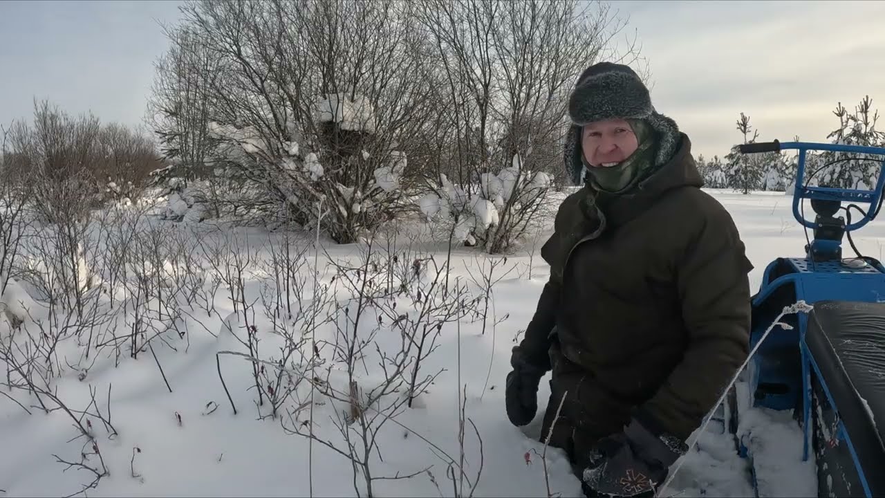 Снегоход Альбатрос! Что это за зверь такой? Снега по пояс, а он едет!!!