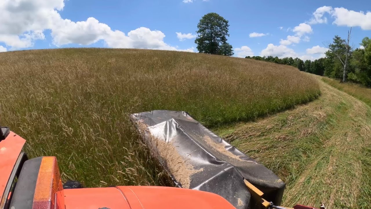 Cutting Some Nice Thick Hay with the Kubota M6060!