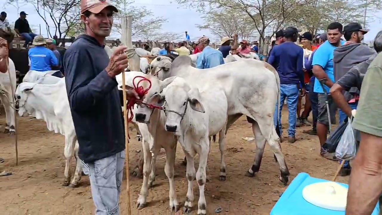 VALDO SERTANEJO NA FEIRA DE GADO DE TABIRA PE 04 01 2026