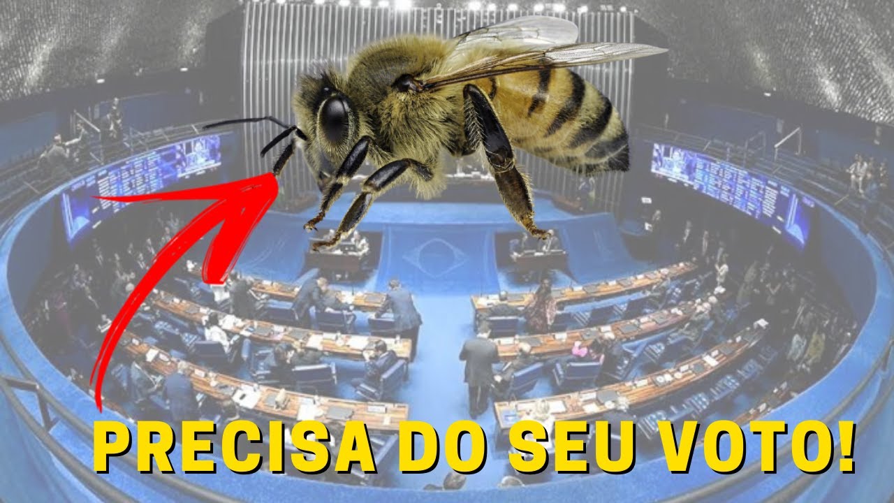 LEGISLA&Ccedil;&Atilde;O da APICULTURA pode MUDAR! PLC 36/2017 | Apislogia