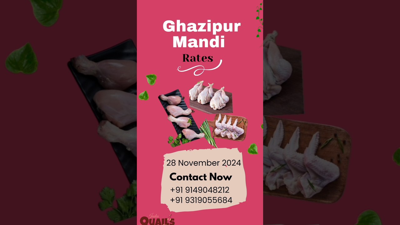 Today Price.... #indiaquailfarm