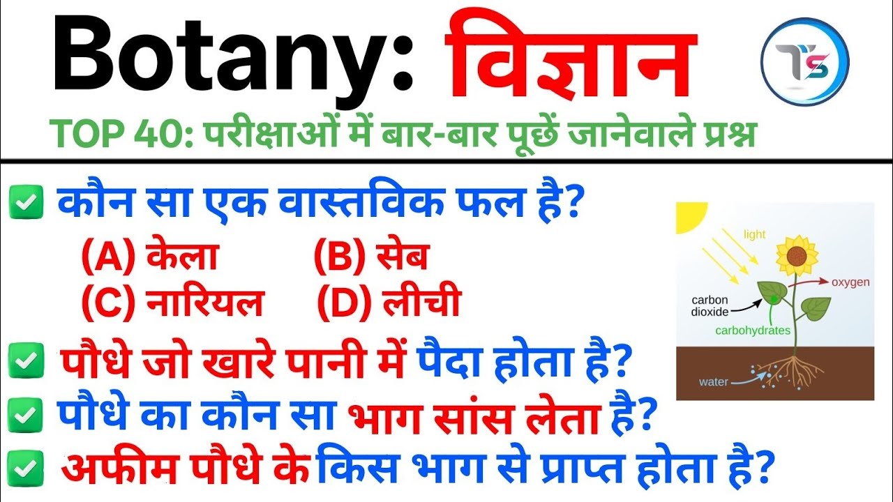 TOP 40: वनस्पति विज्ञान |Botany Important MCQs in Hindi|| vanspati vigyan | Botany GK Quiz in Hindi