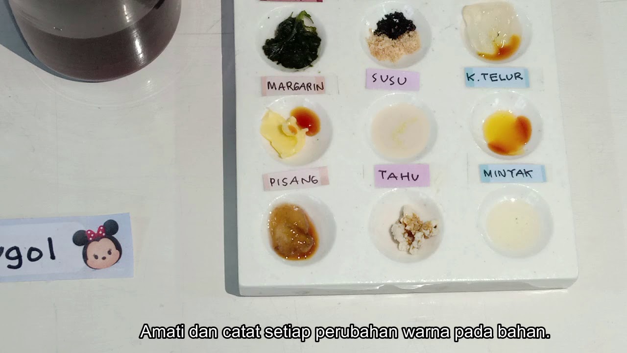 Percobaan Uji Bahan Makanan Kelas VIII