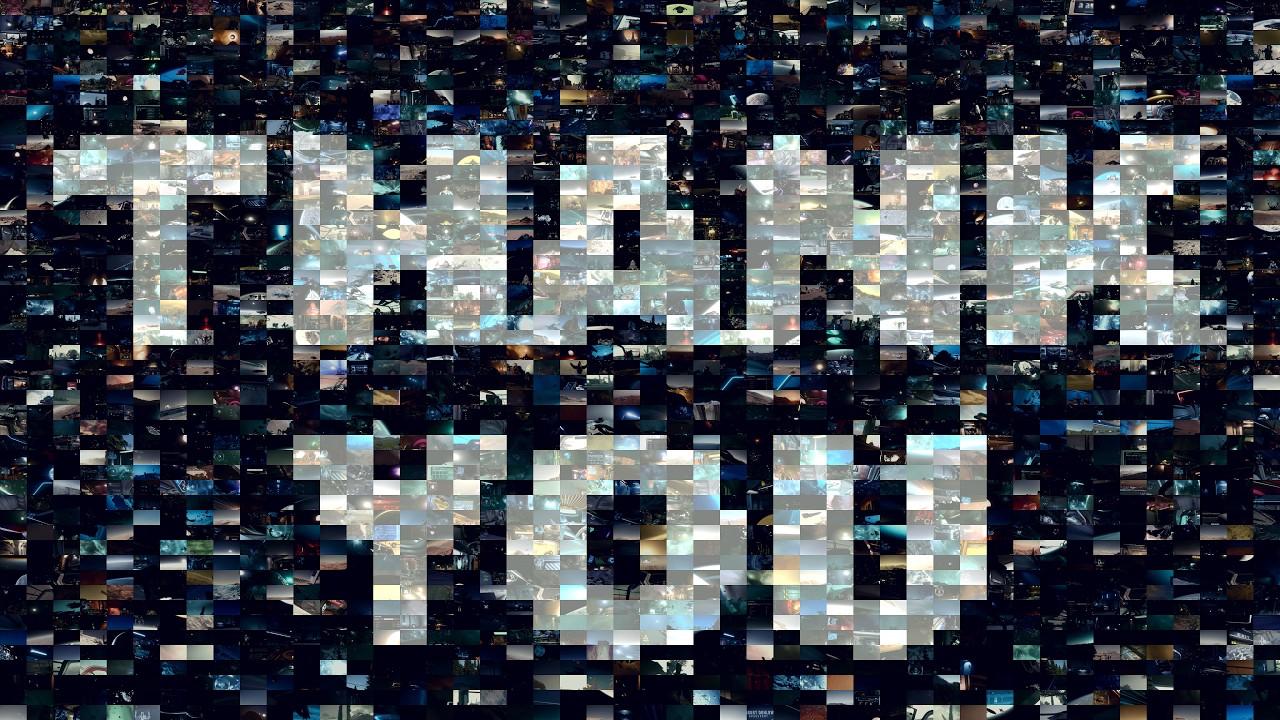 I Started Alone. Now There Are 500 of You | Thank You, Turtle Crew