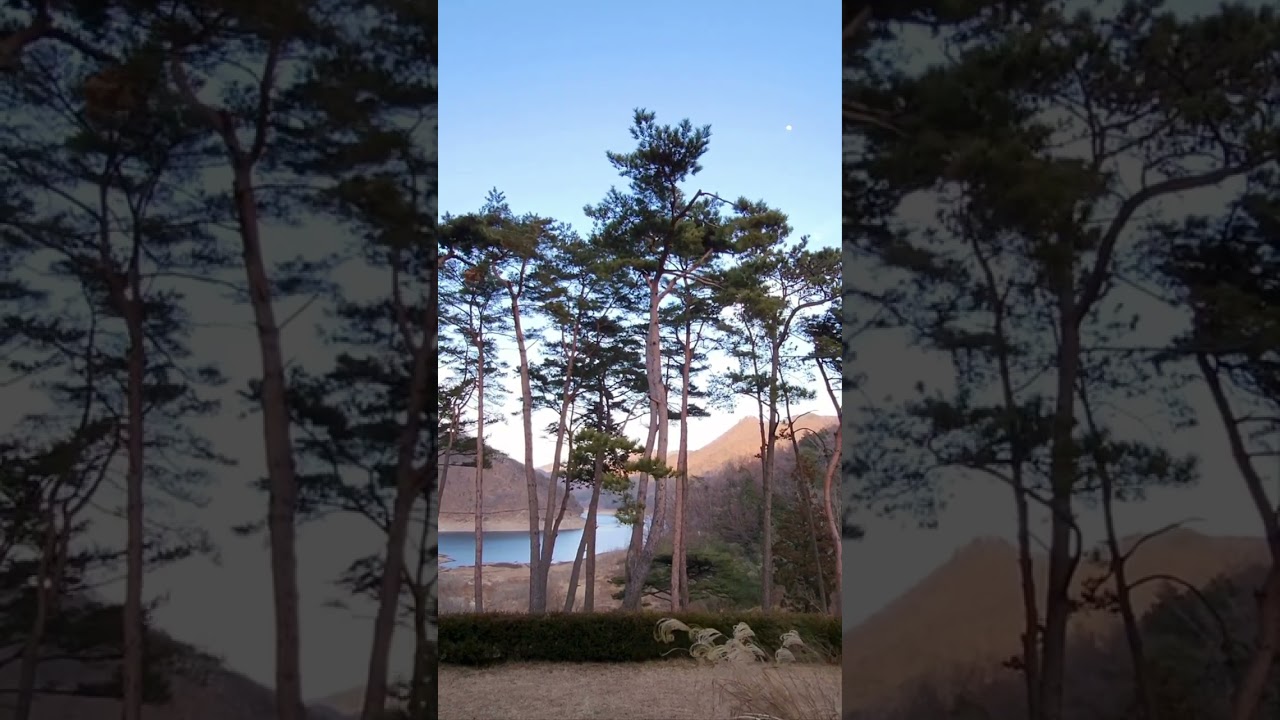 #낮달 #바람소리 #shorts #asmr #spacingout #힐링