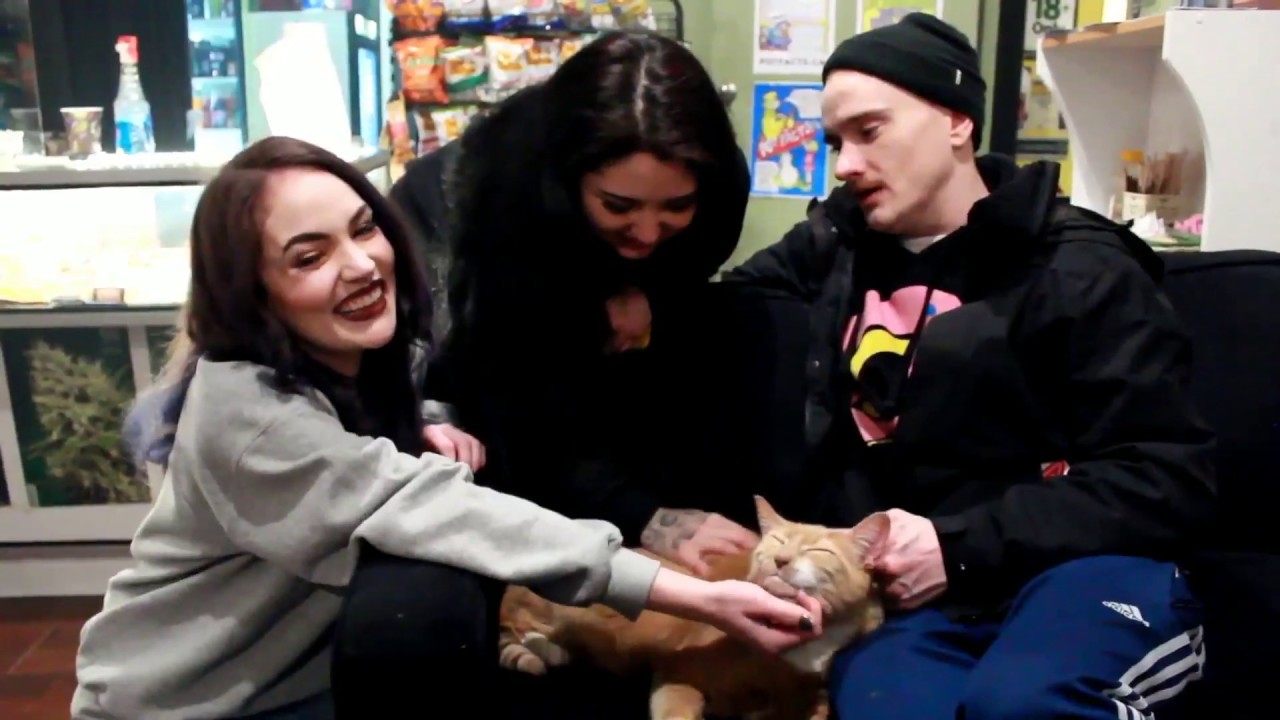 The 420 Lifestyle Show: Unforgettable Edibles