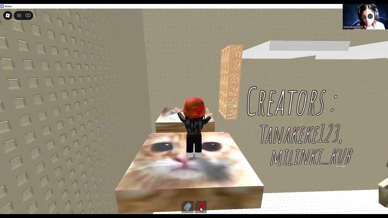 Torre de Gato! XD