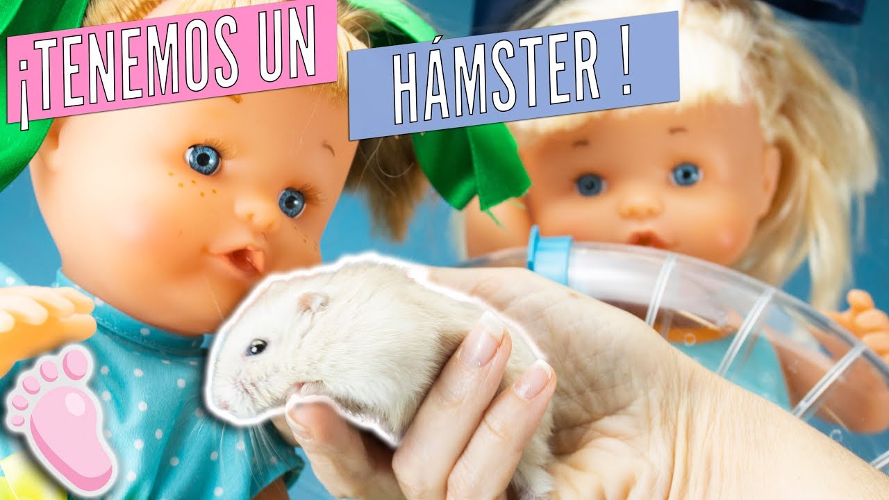 💖 Las hermanitas NOA Y NOÉ adoptan dos hámsters bebés 🌈 Compro su casita en la tienda de animales!