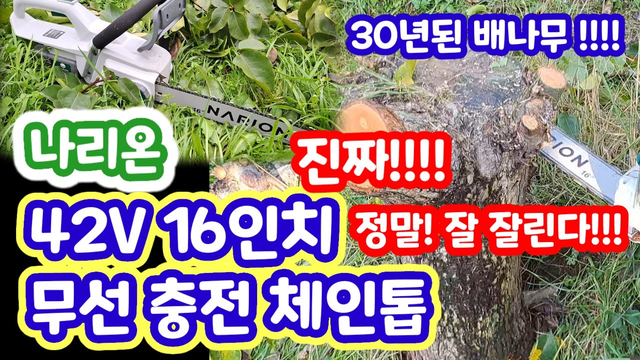 나리온 42v 무선 체인톱 충전톱 정말 잘 잘립니다!!!!간벌 전정톱 추천