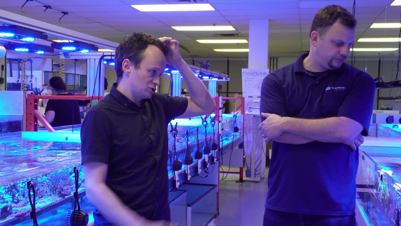 CoralLab Detritus Free Coral Frag System