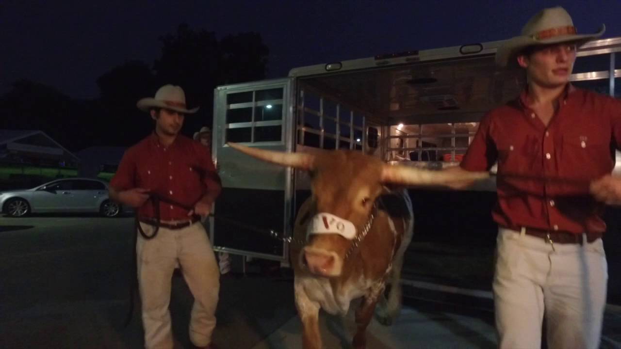 BEVO XV arrives on campus