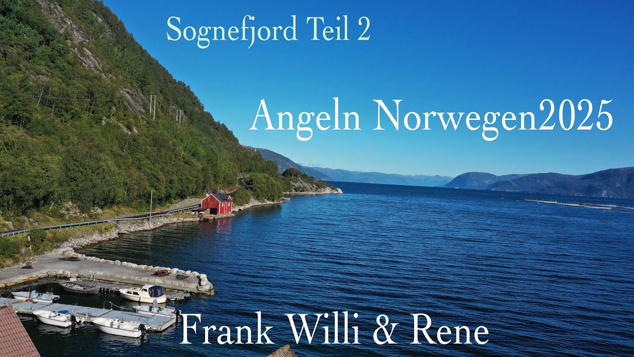 Angeln in Norwegen 2025 Sognefjord Hjartholm Feriehytter Teil 2