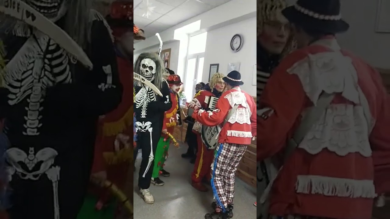 Koza Skibice w szkole