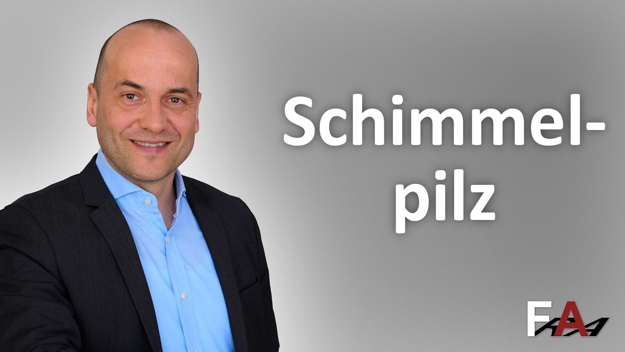 Schimmelpilz - Webinare auf Immowelt.de