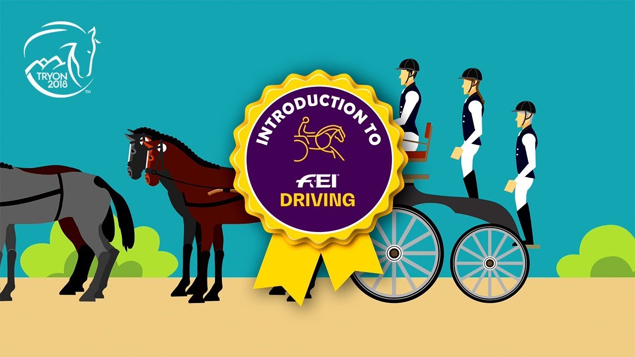 The rules of Driving | FEI World Equestrian Games™ Tryon 2018