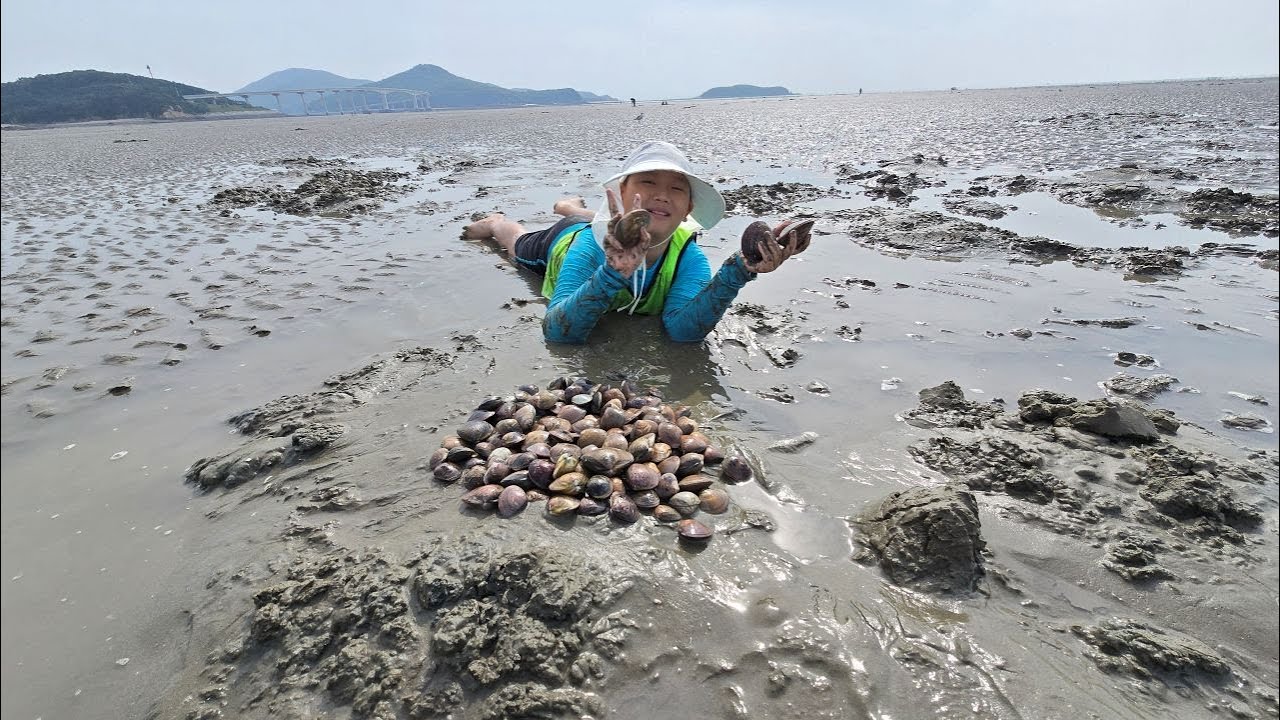 [인천] 영종도 마시안갯벌 체험