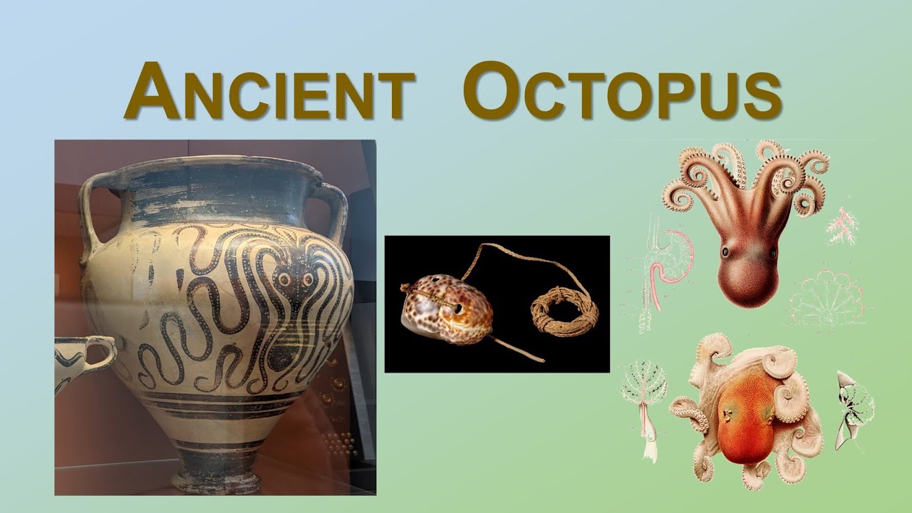 Ancient Octopus   &ndash; Archaeology Studio 140