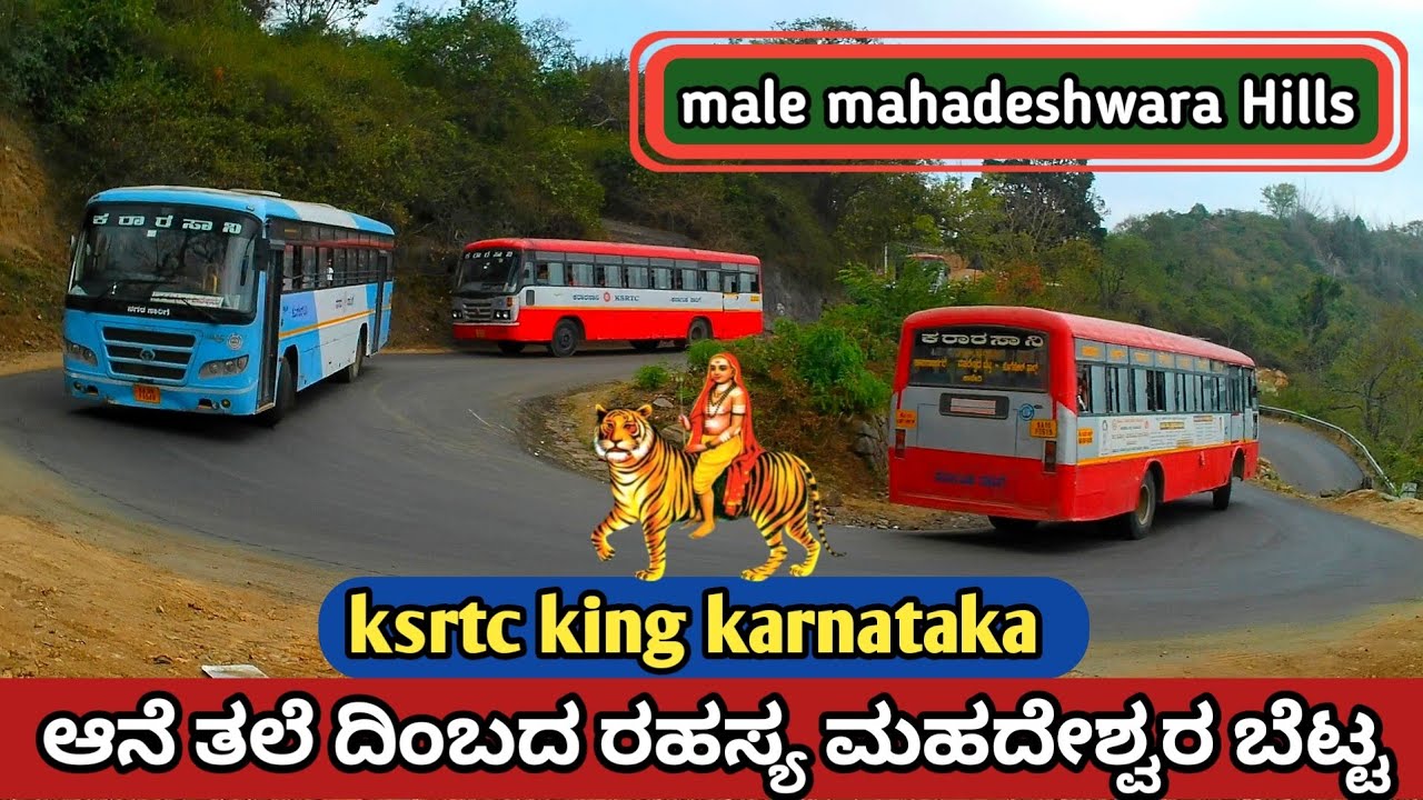 ಆನೆ ತಲೆ ದಿಂಬಾ 🥱 / Male mahadeshwara betta  / mm hills / ksrtc king karnataka / tourist places /