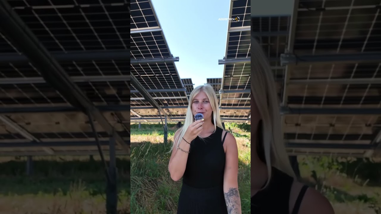 Solarpark / Speicherlösungen #aggretech #fyp #solarpark #speicherlösung #stromspeicher