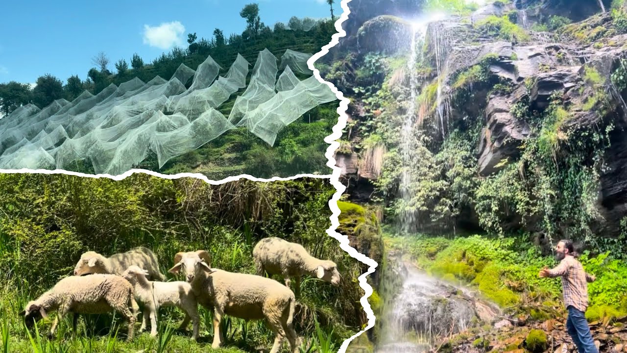 SHETADHAR : Hidden gem of SERAJ Valley.Secluded Waterfall on the way. (PART-1)