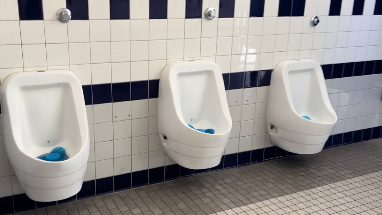 Boys Elementary School Restroom | Falcon Waterfree Urinals, American Standard Madera, Kohler Primary