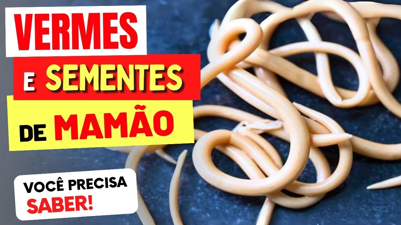 Sementes de Mamão CONTRA VERMES - Veja ISSO!