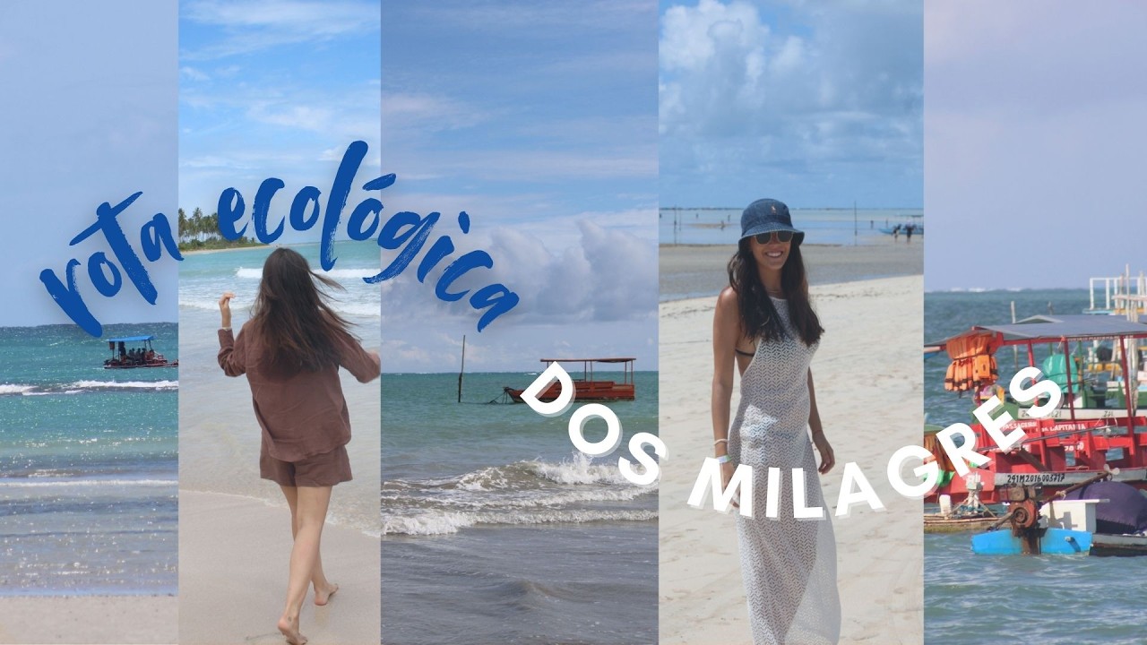 O QUE FAZER em SÃO MIGUEL DOS MILAGRES | Praias, Beach Clubs e Restaurantes na Rota Ecológica