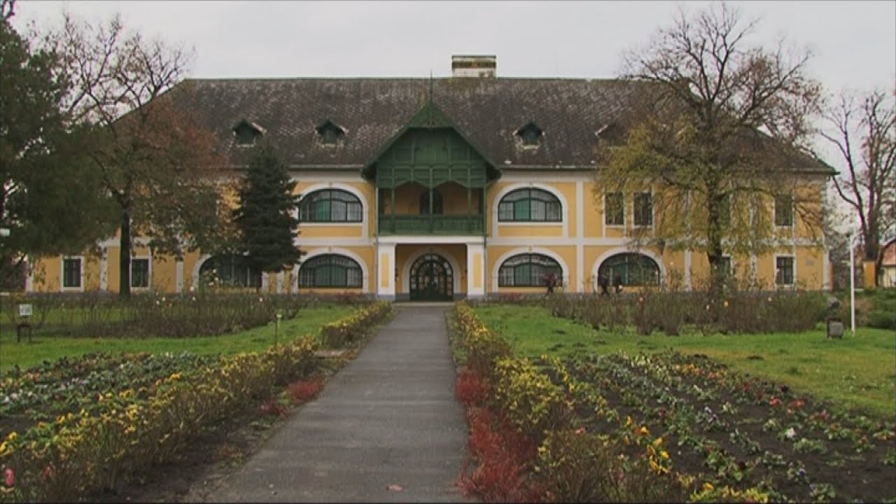 Mezőhegyes - 2015