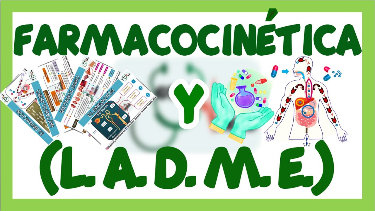 FARMACOLOGÍA METABOLISMO Y ELIMINACIÓN DE FÁRMACOS | GuiaMed