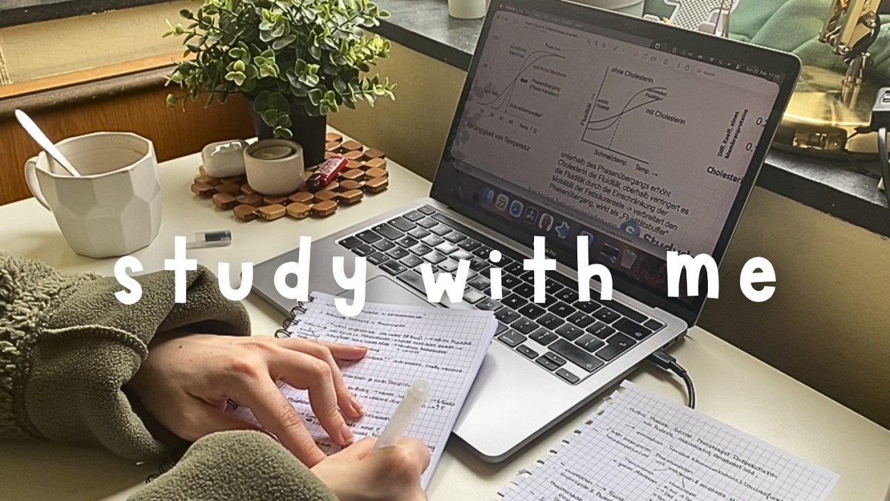 STUDY WITH ME 2H 🎀♡  | no break, no music ⋆.𐙚 ̊ #스터디윗미